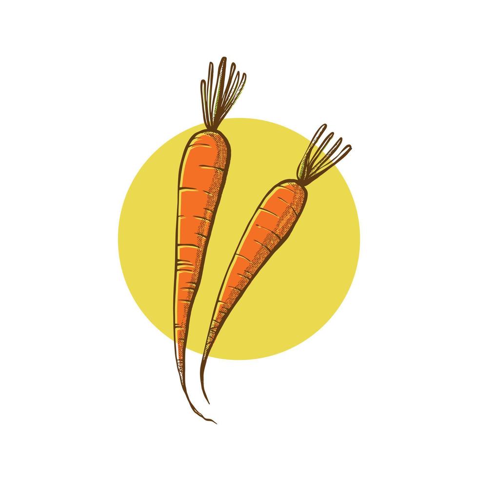 carrot illustration sketch. hand draw technique. illustration foodie vector