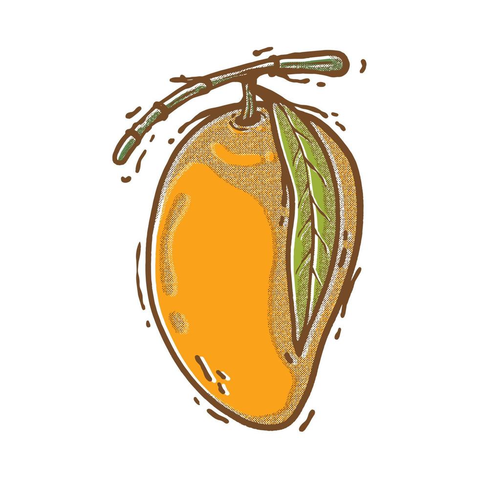 fresh mango sketch. hand draw technique. full color vector