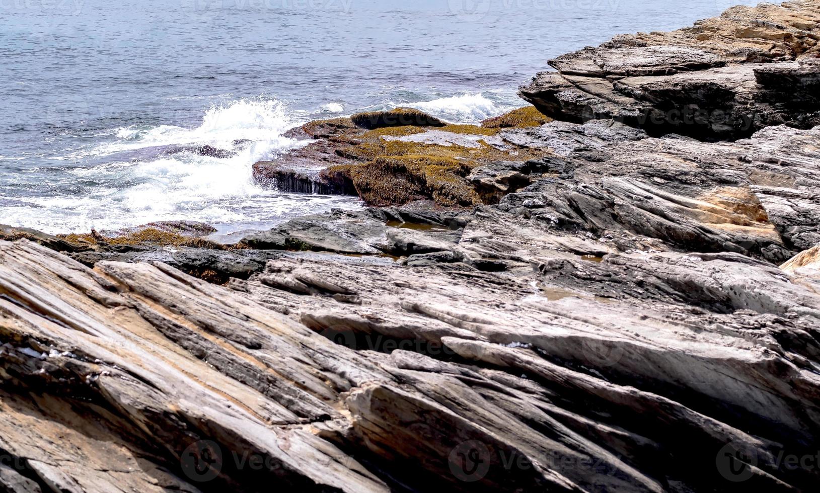 coastline near newport rhode island photo