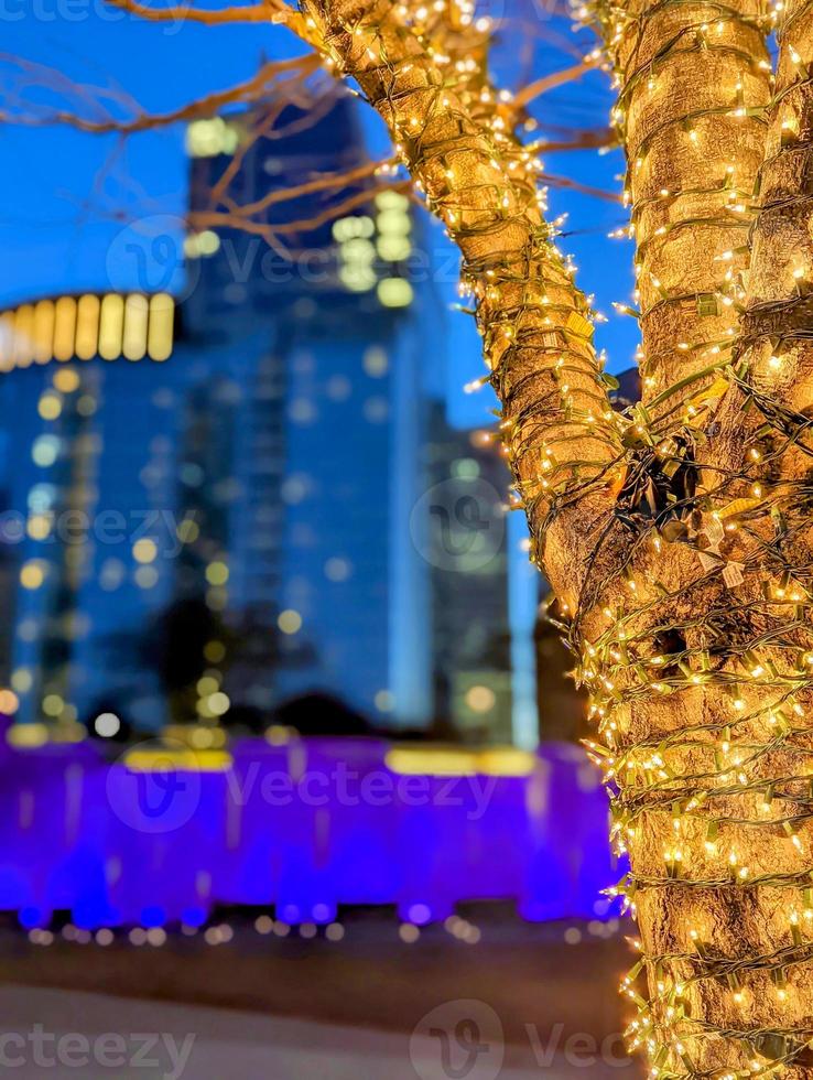 charlotte nc early morning decorated with holiday lights photo