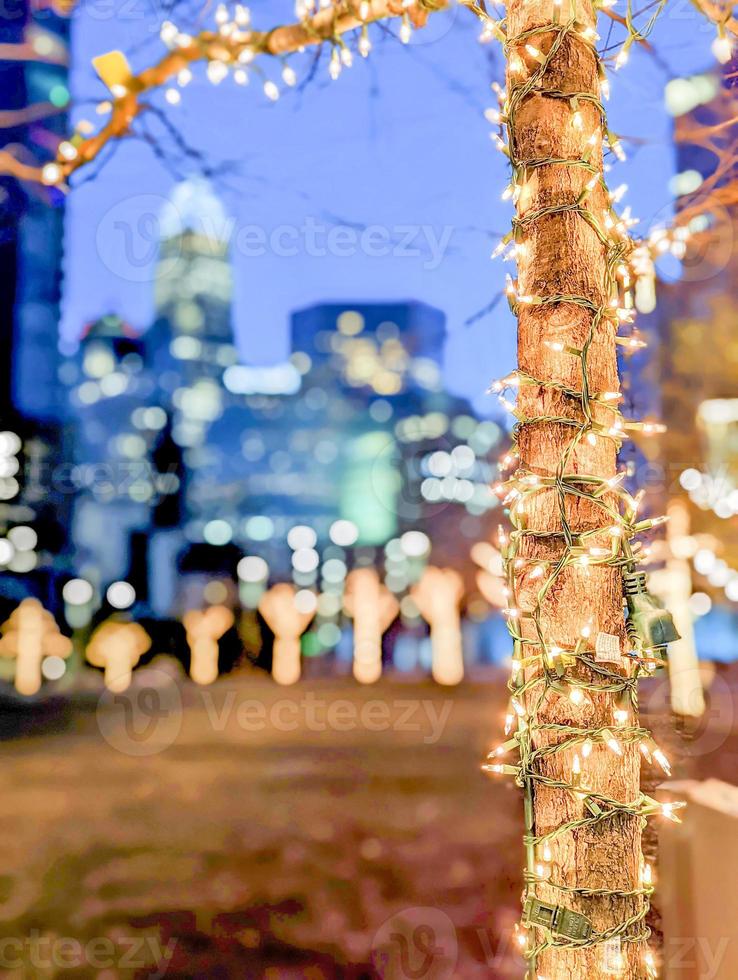 charlotte nc early morning decorated with holiday lights photo