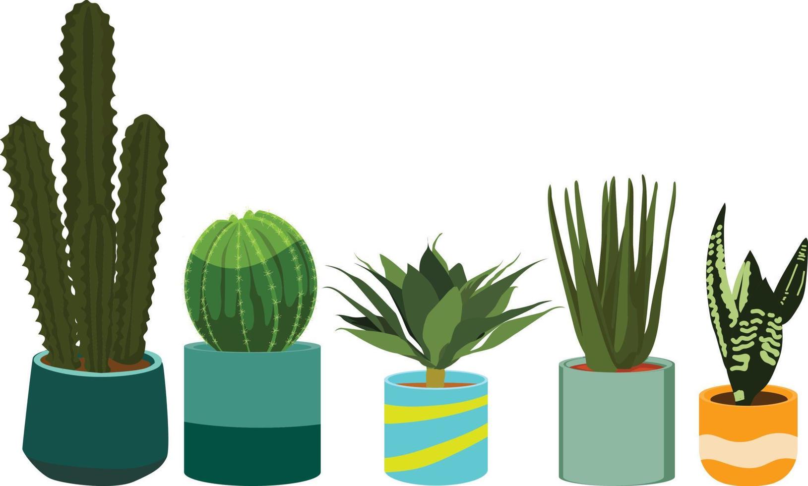 5 plantas aisladas sobre fondo blanco vector