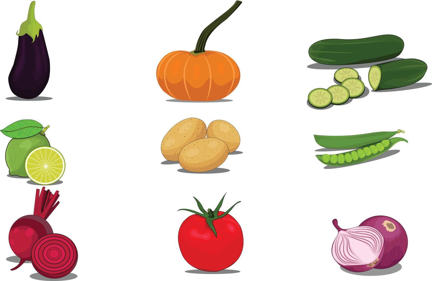 fruit vector on white background