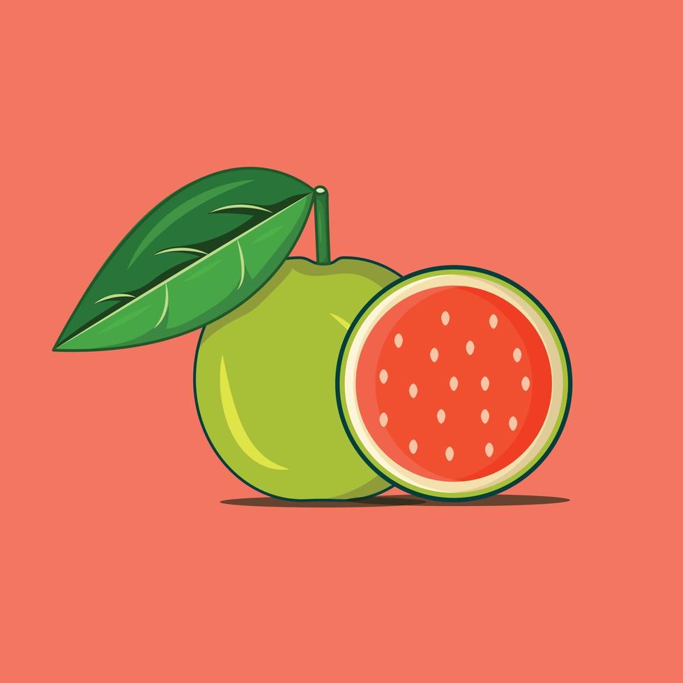 vector de fruta sobre fondo blanco