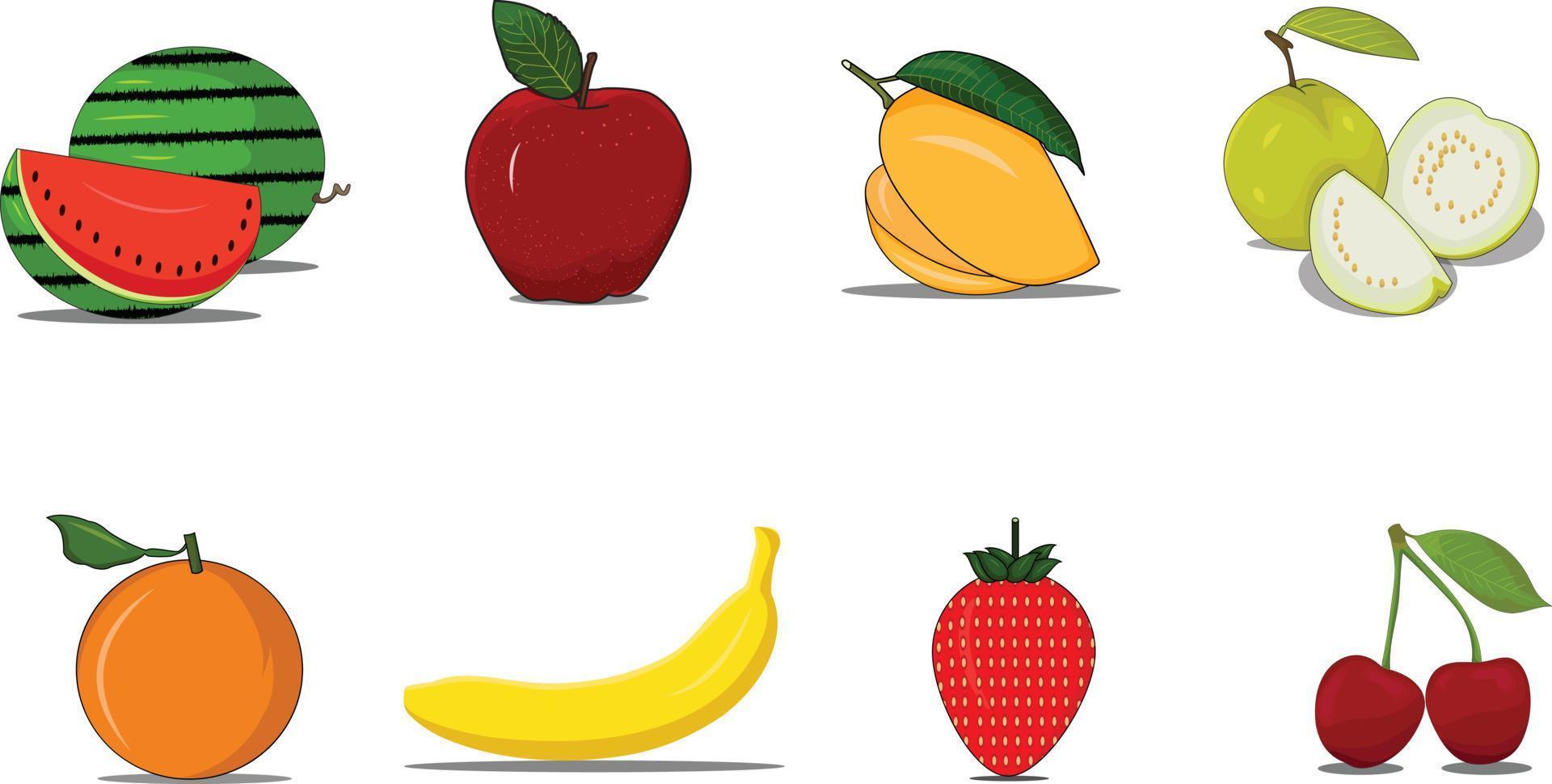 fruit vector on white background