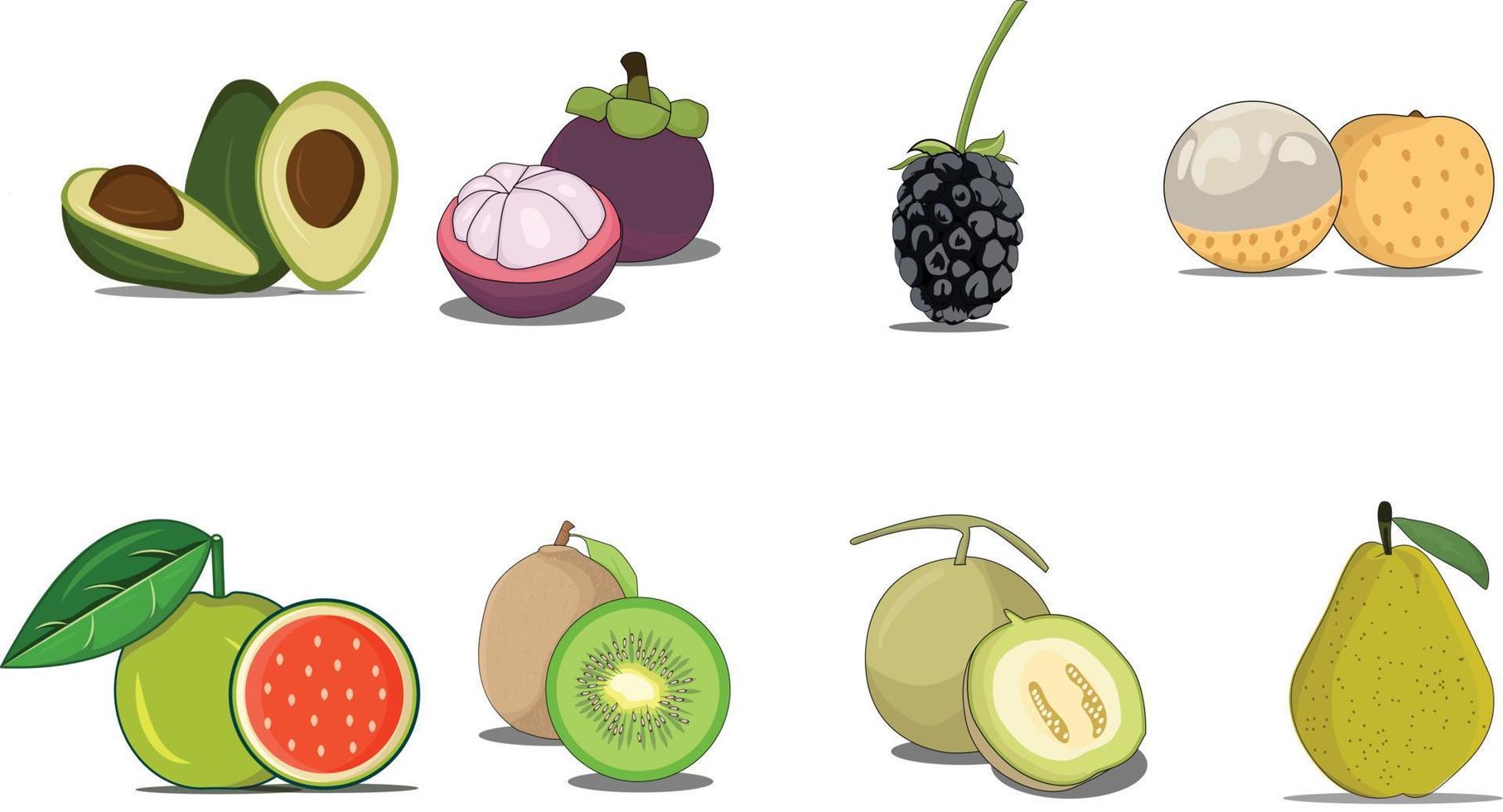 vector de fruta sobre fondo blanco