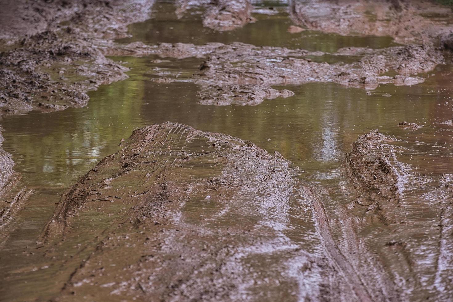 Tire tracks on  muddy. photo