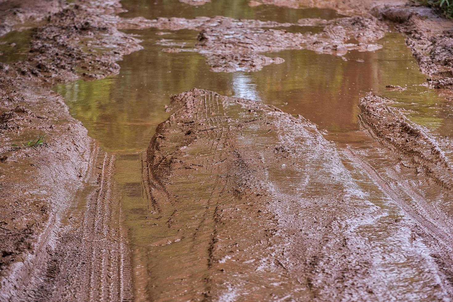 Tire tracks on  muddy. photo