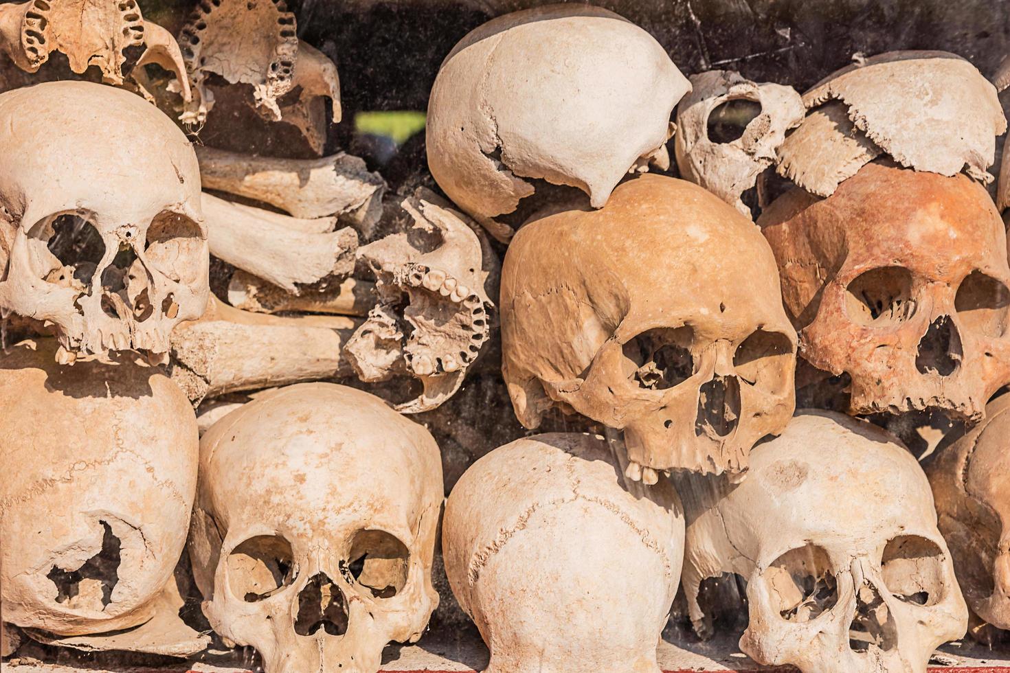 montón de cráneos humanos. foto