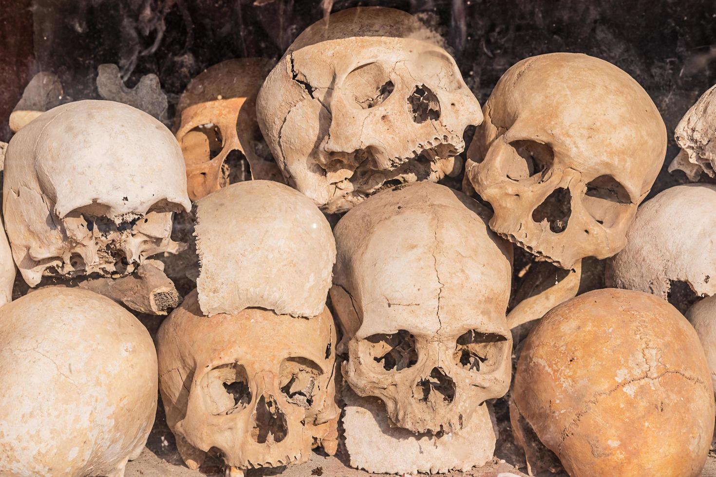 montón de cráneos humanos. foto