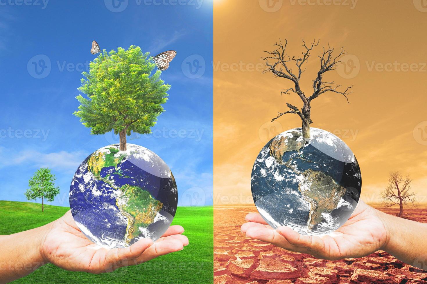 directrices de conservación del medio ambiente. amo el mundo. salvar el mundo. 8178393 Foto de stock en Vecteezy directrices de conservación del medio ambiente. amo el mundo. salvar el mundo. 8178393 Foto de stock en Vecteezy