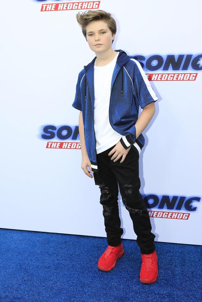LOS ANGELES  JAN 25 - Hayden Haas at the Sonic The Hedgehog Family Day Event at the Paramount Theatre on January 25, 2020 in Los Angeles, CA photo
