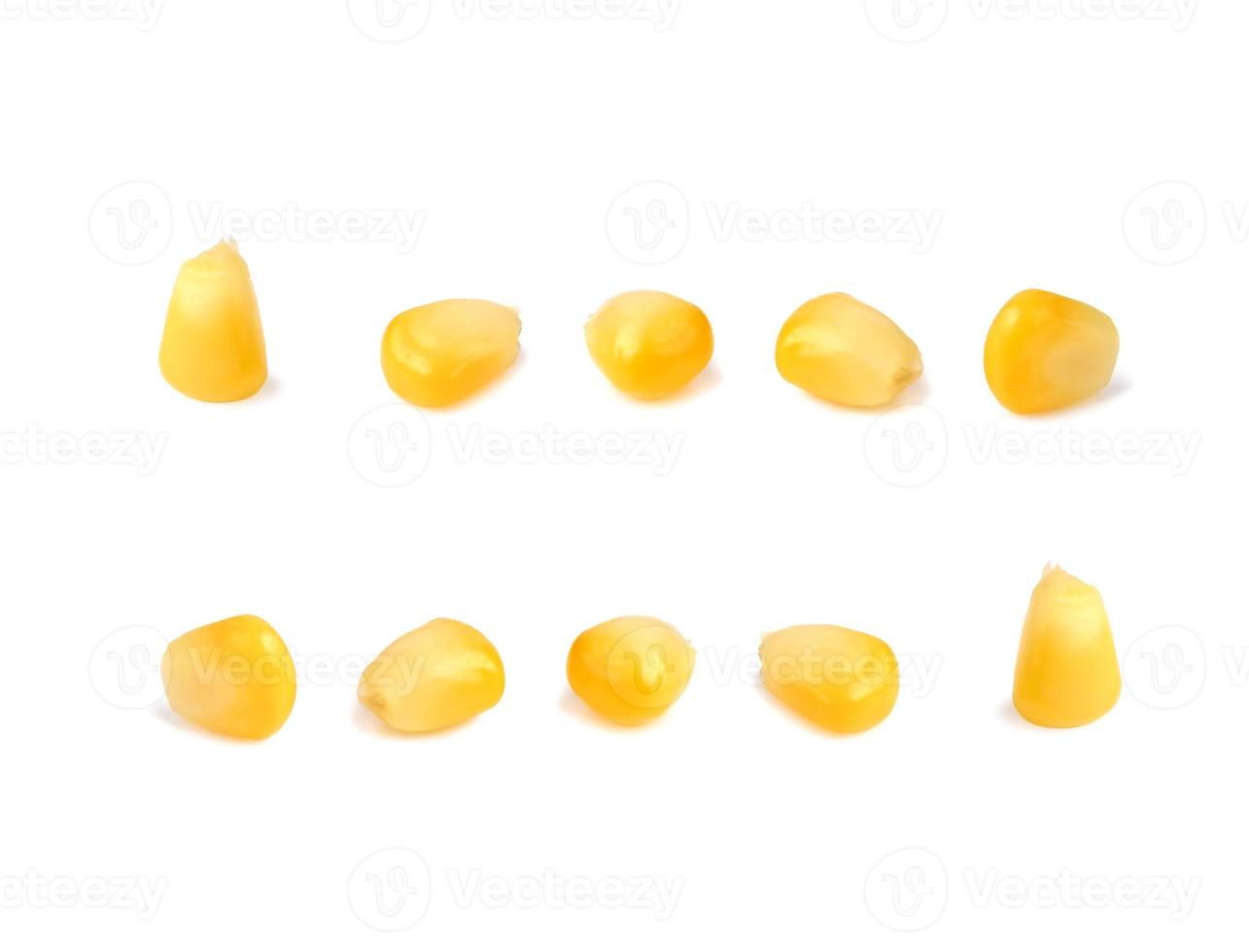 Collection of delicious corn seeds, isolated on white background photo