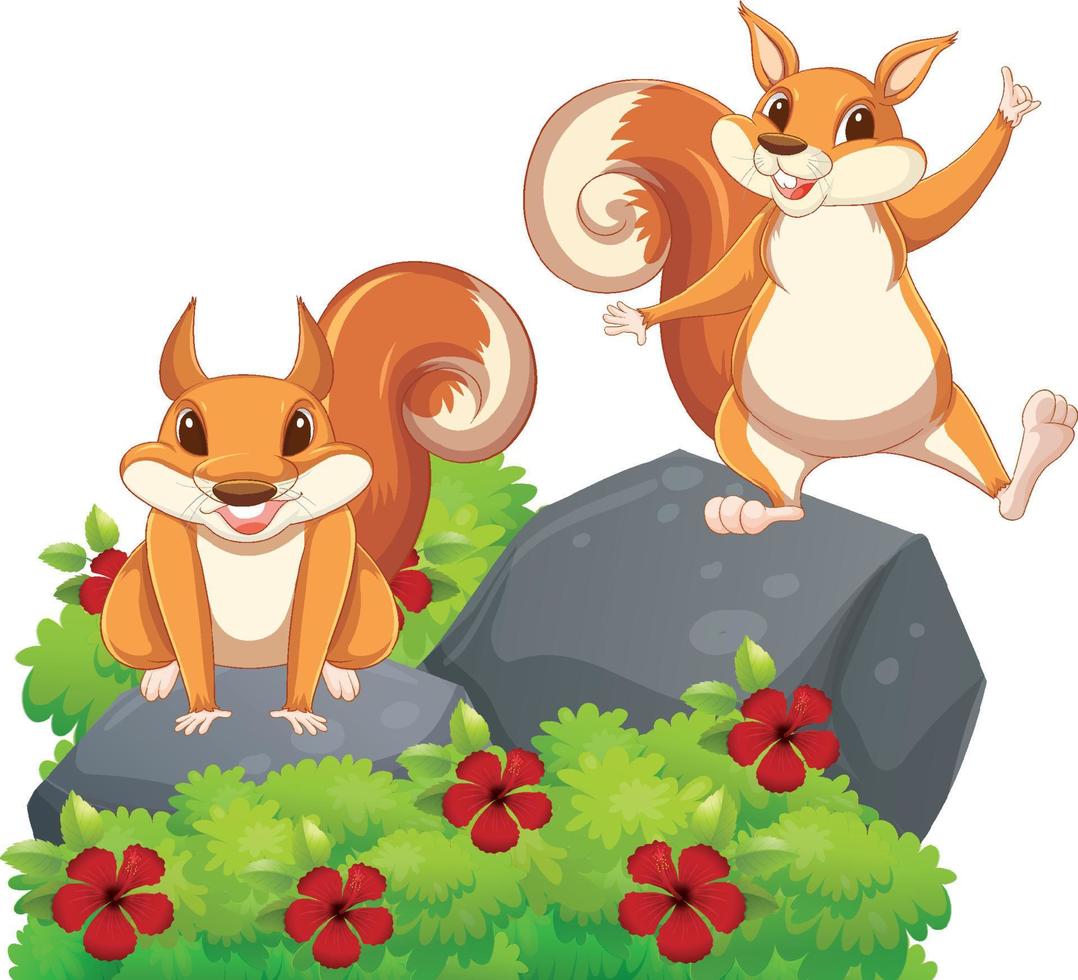 Two squirrels standing on rock vector