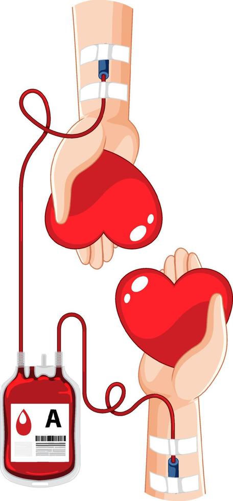 Human blood donate on white background vector