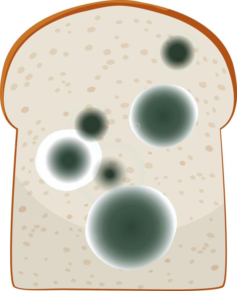 un trozo de pan con moho vector