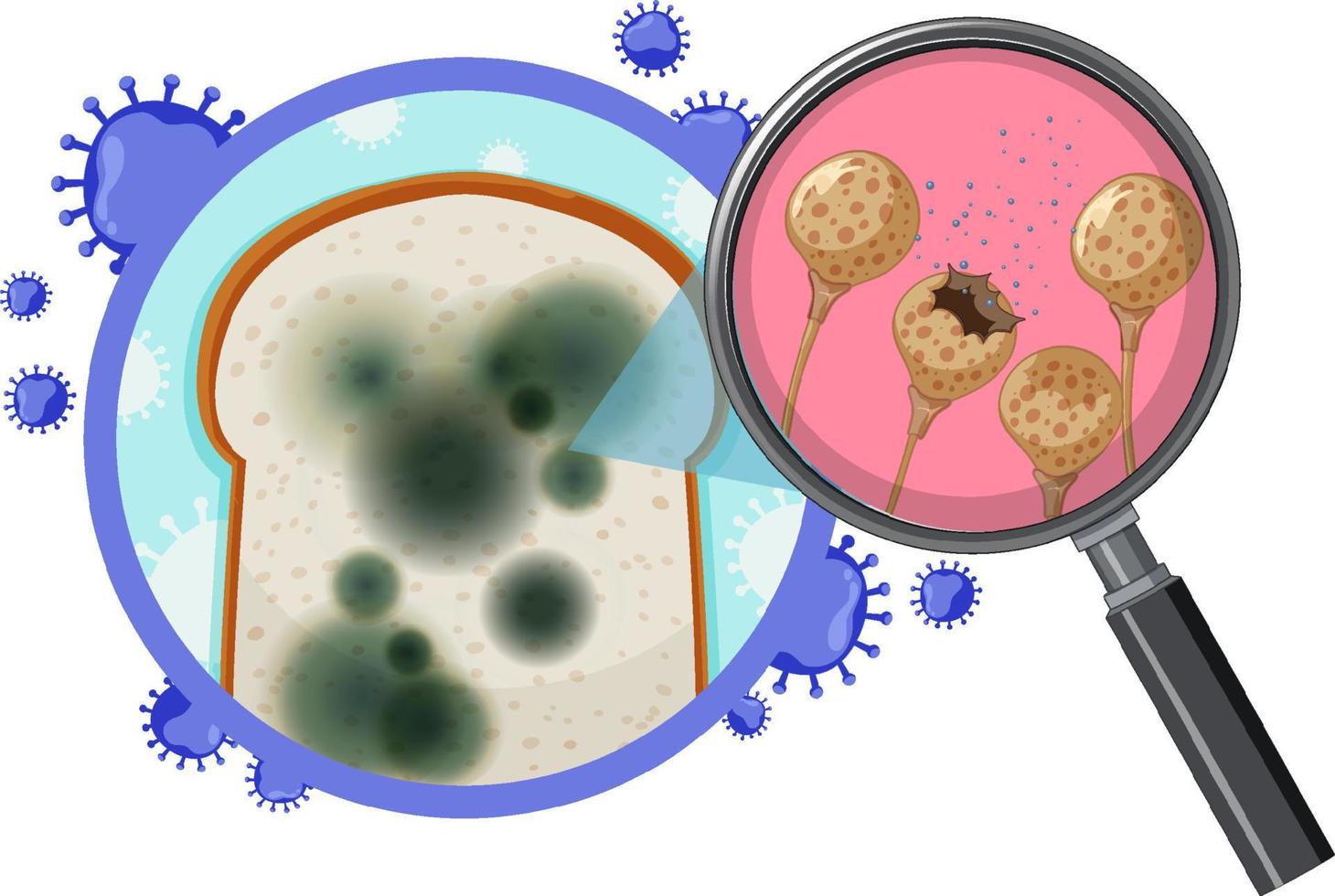 Inedible bread with mould vector