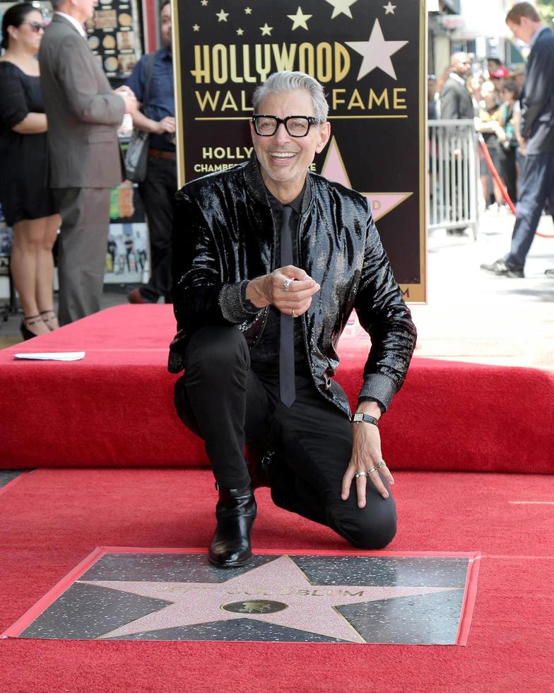 LOS ANGELES - JUN 14  Jeff Goldblum at the ceremony honoring Jeff Goldblum with a Star on the Hollywood Walk of Fame on June 14, 2018 in Los Angeles, CA photo