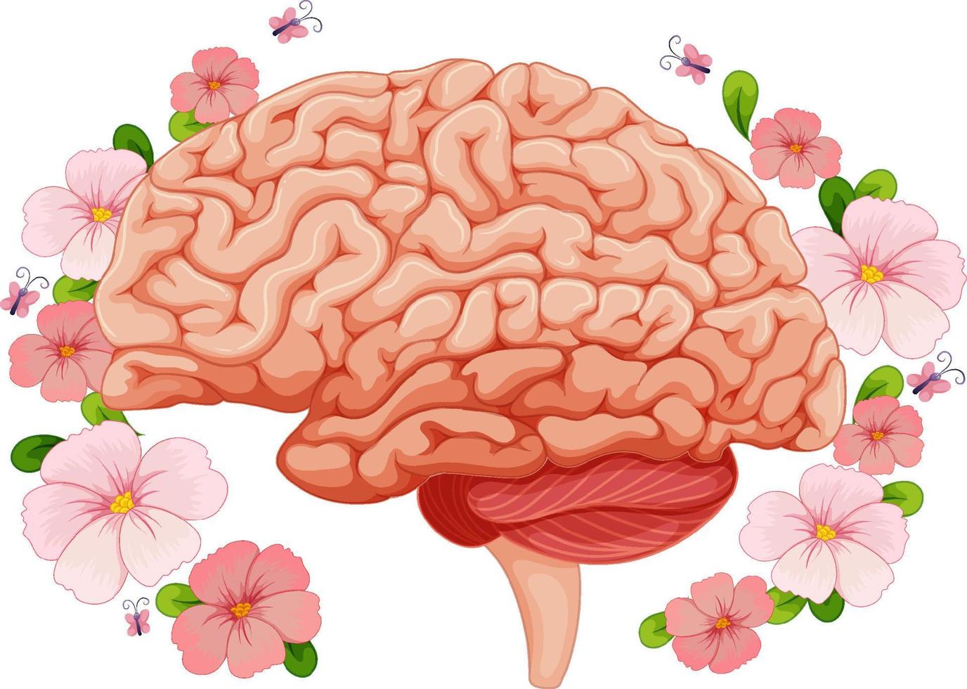cerebro humano con flores rosas alrededor vector