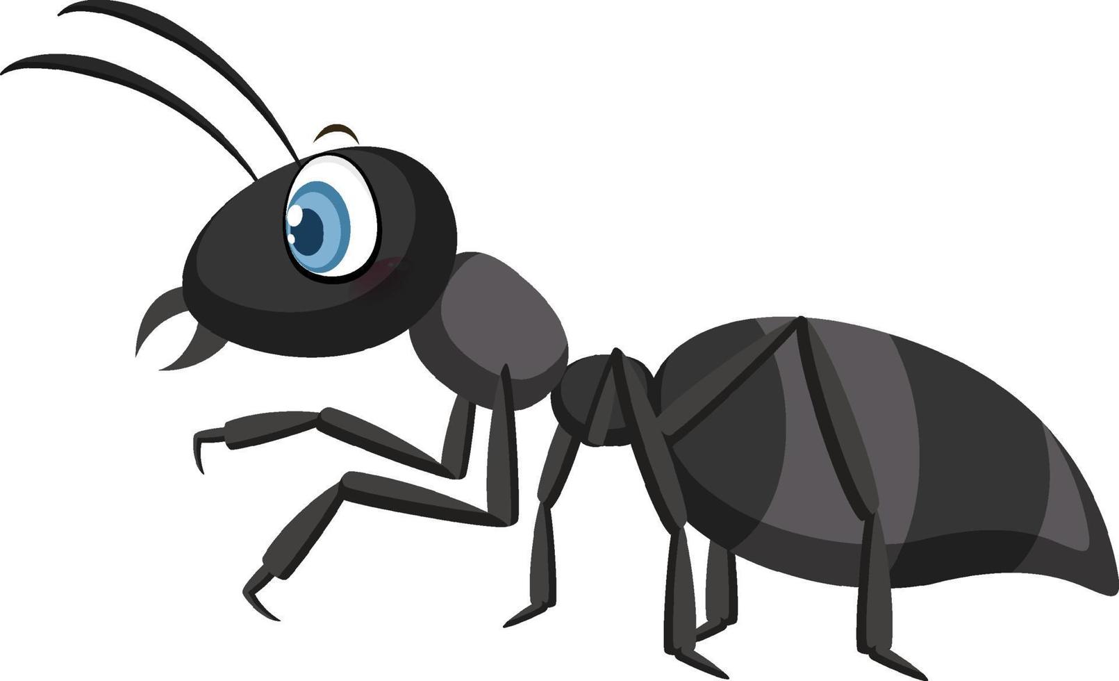 hormiga negra aislada sobre fondo blanco vector