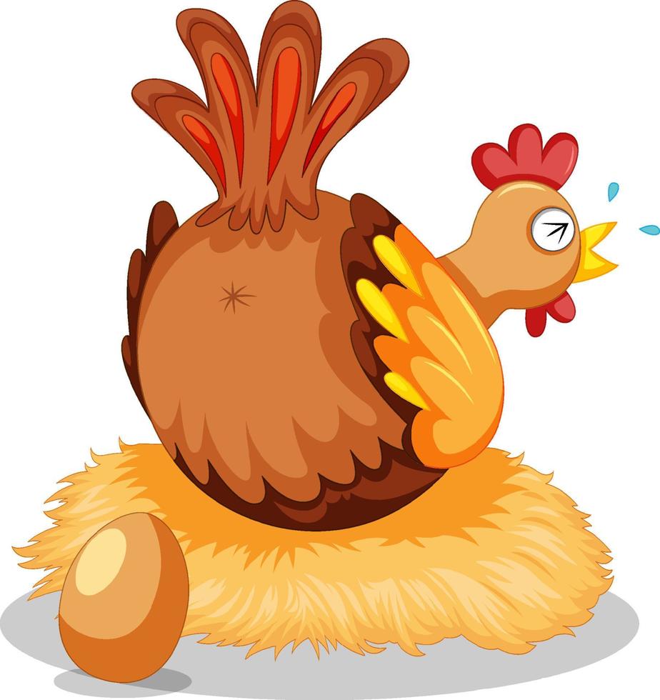 Cute chicken laying eggs vector