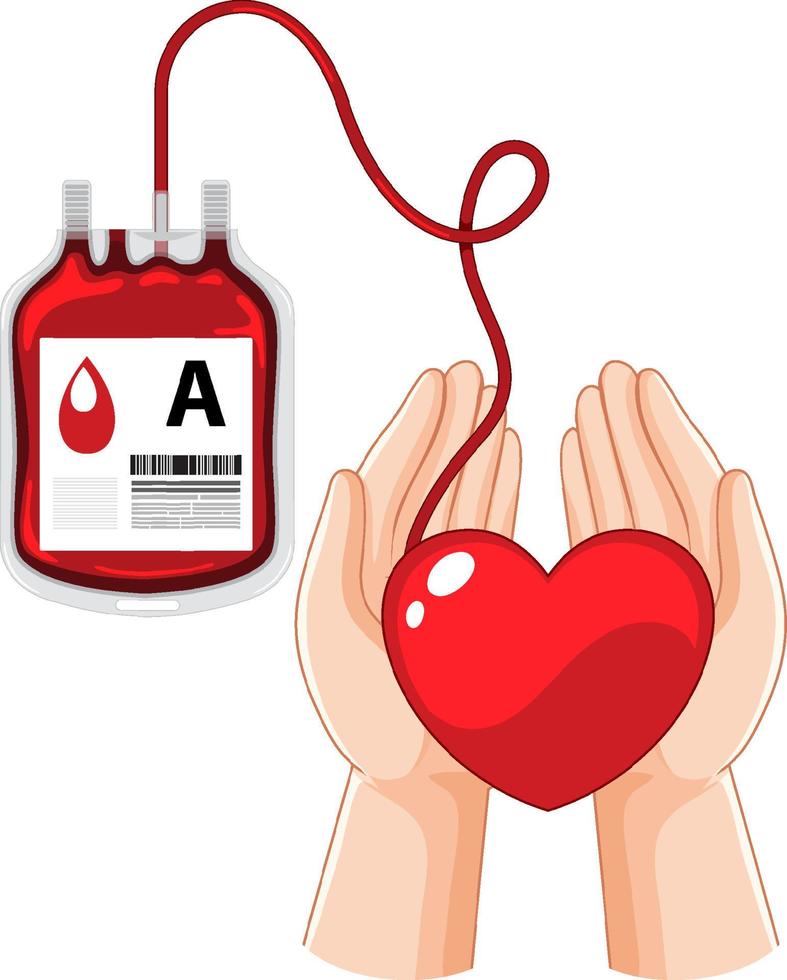 Human blood donate on white background vector