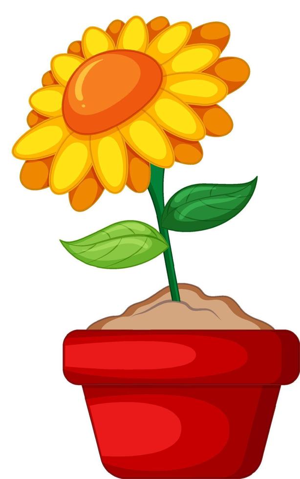 Yellow flowers in a pot in cartoon style vector
