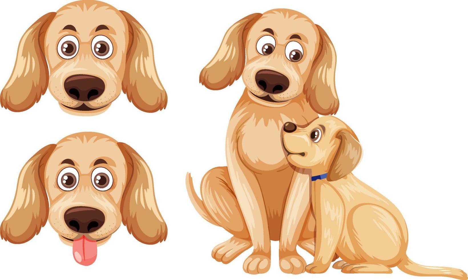 Set of Golden retriever dogs isolated vector