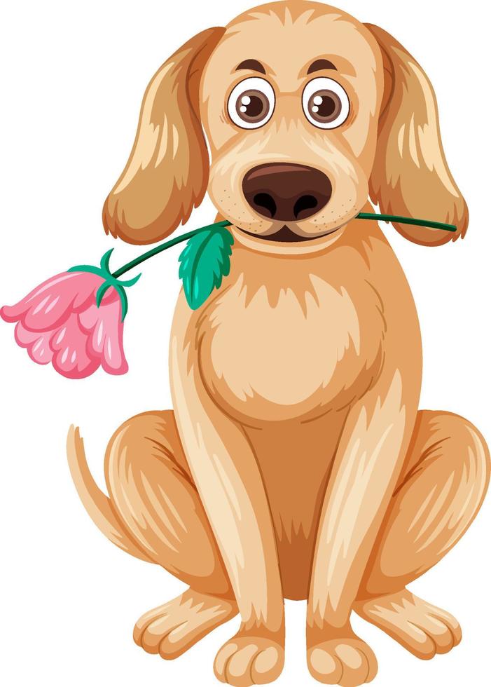 lindo golden retriever atrapando flor vector