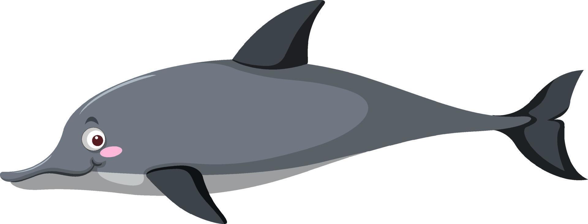 Grey dolphin in cartoon style vector