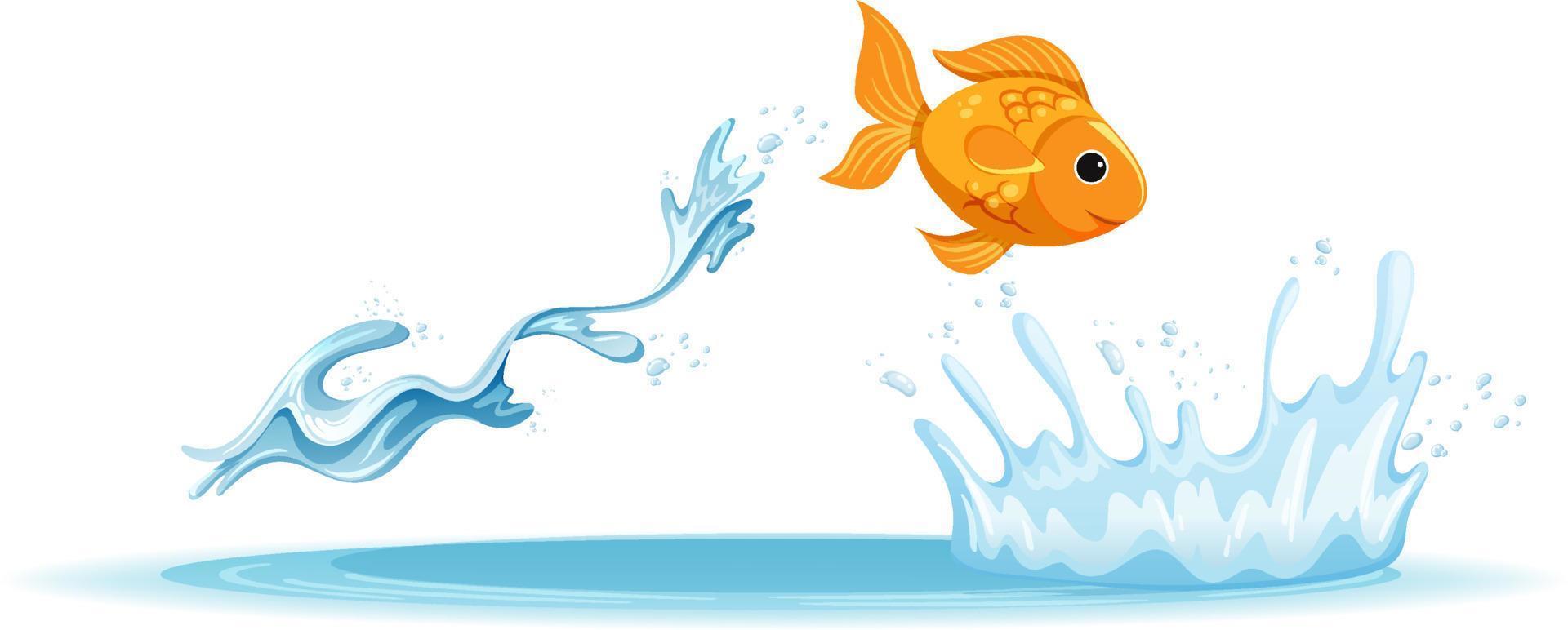 A water splash with goldfish on white background vector