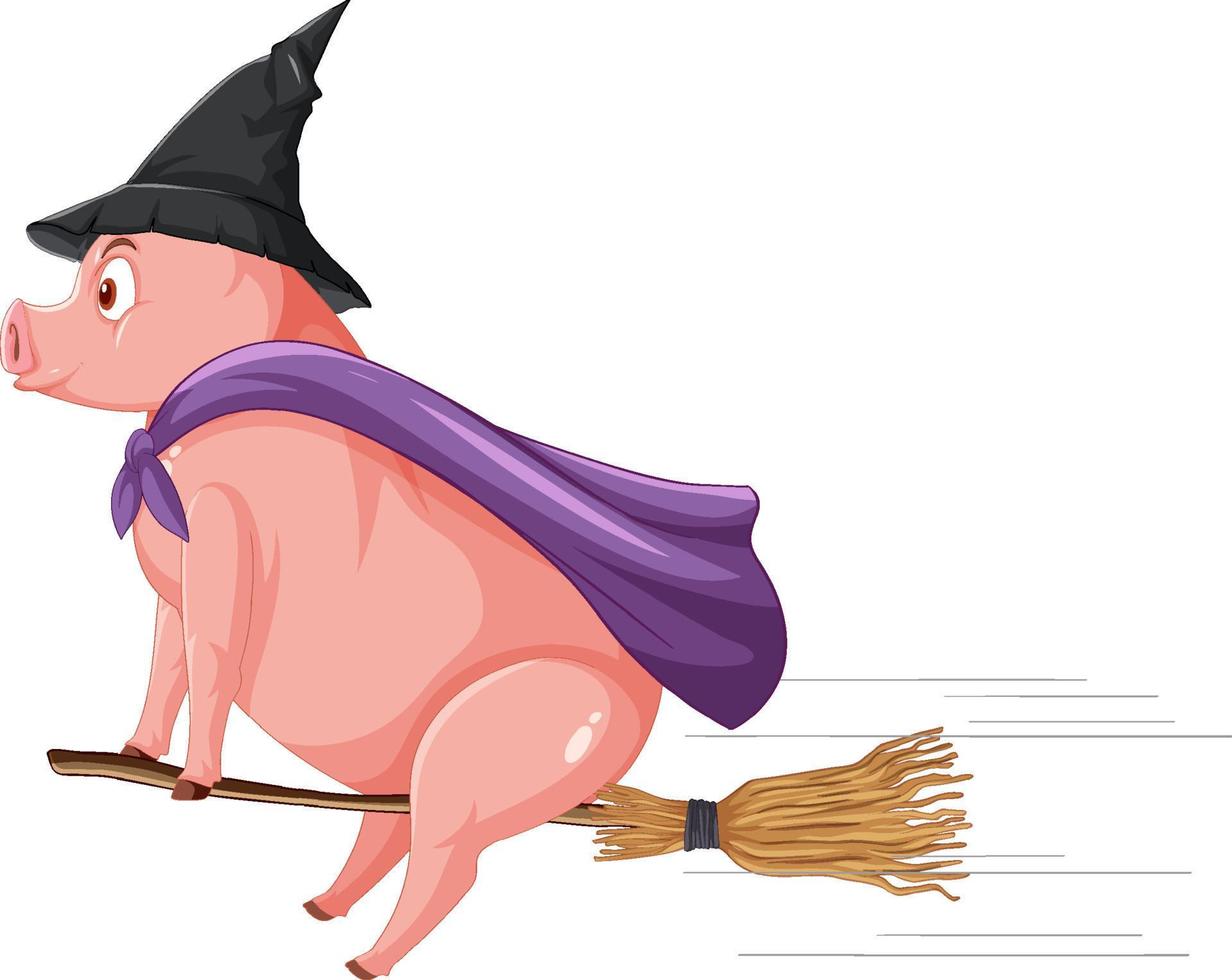 A pig witch riding a broomstick vector