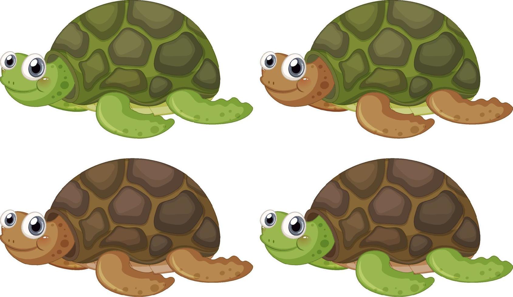 Cute turtle cartoon character on white background vector