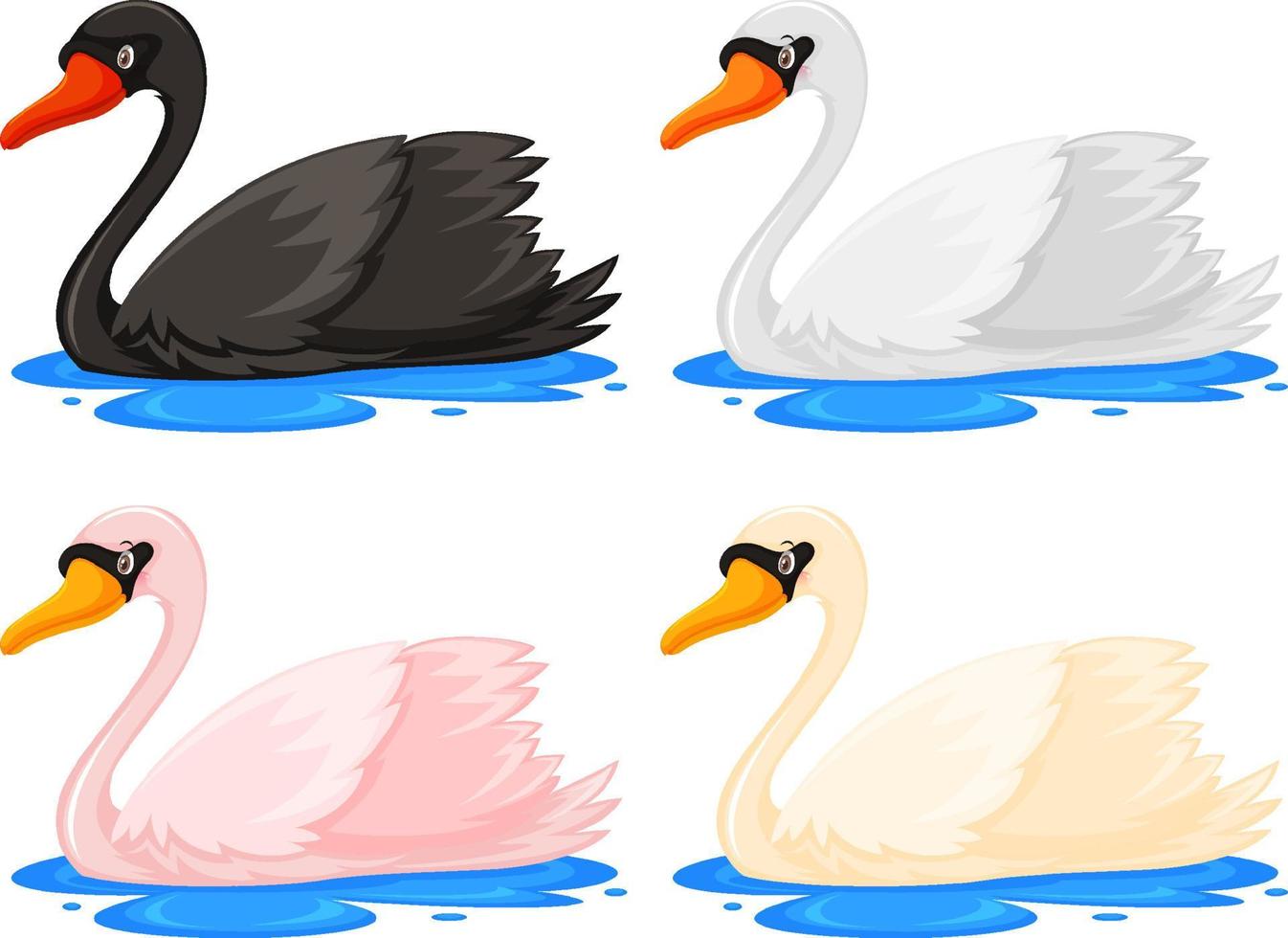 cuatro cisnes en diferentes colores vector