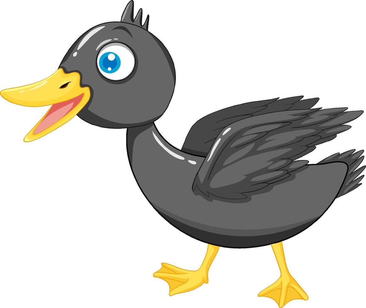 Duck mallard cartoon character vector