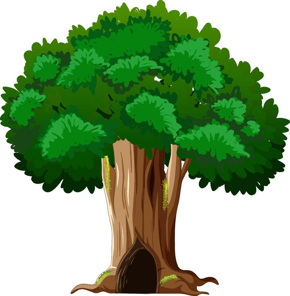 Big tree isolated cartoon vector