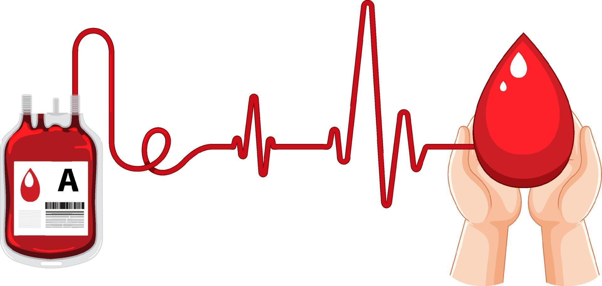 donación de sangre humana y frecuencia cardíaca sobre fondo blanco vector