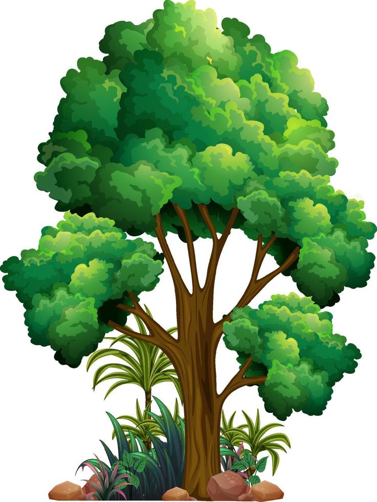 dibujos animados aislados de árbol grande vector