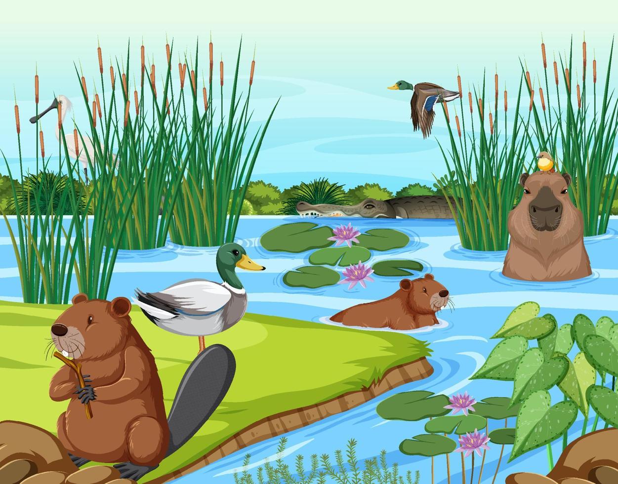 Various animals in the forest vector