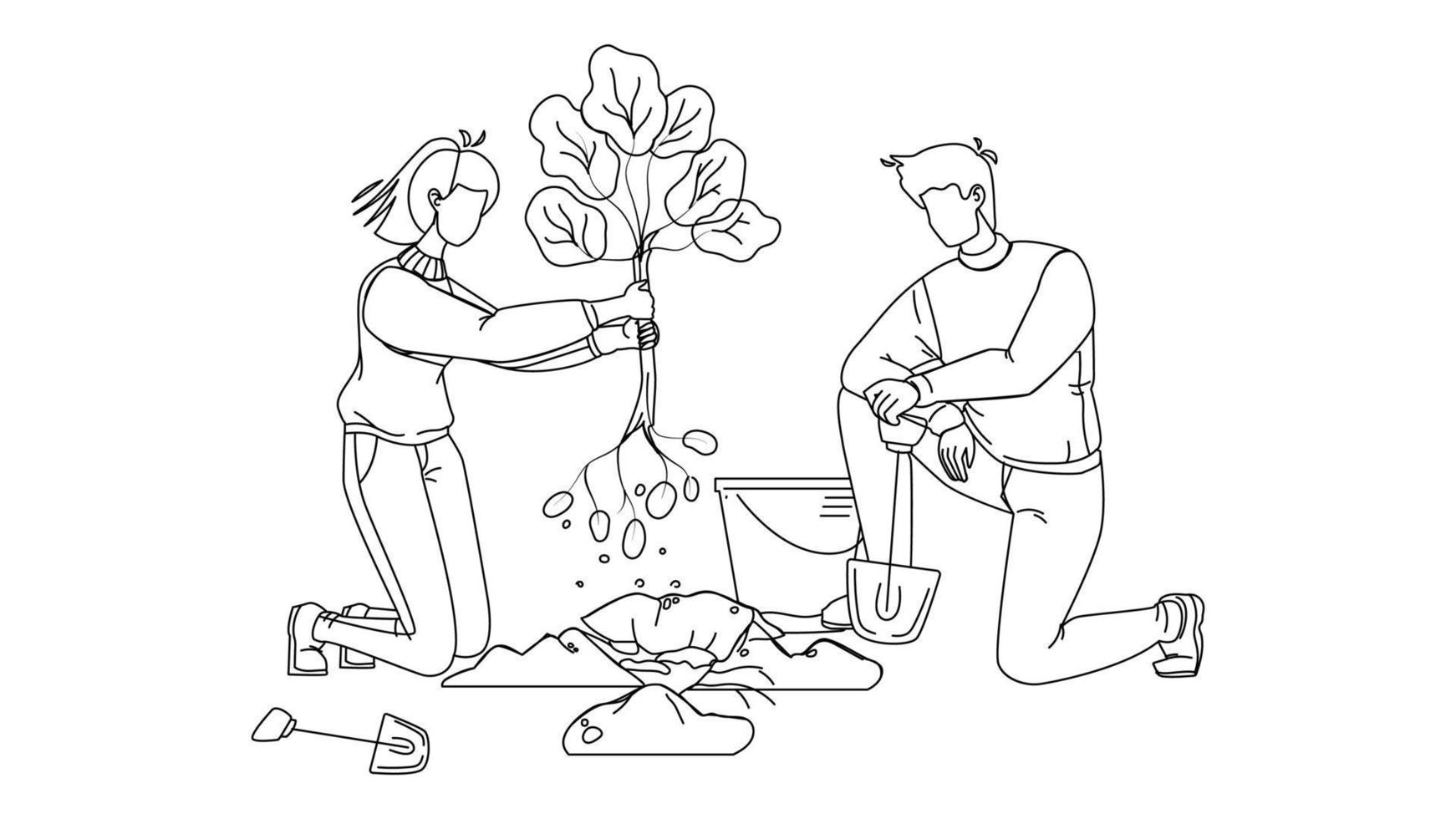 Man And Woman Volunteering Planting Tree Vector