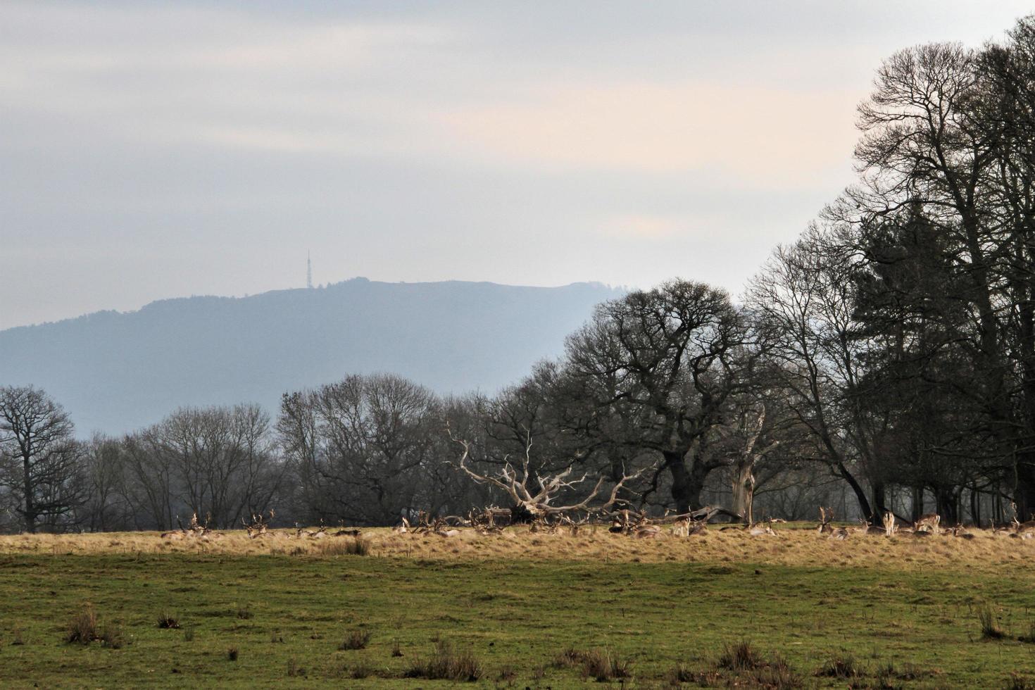 una vista de la campiña de shropshire cerca de shrewsbury foto