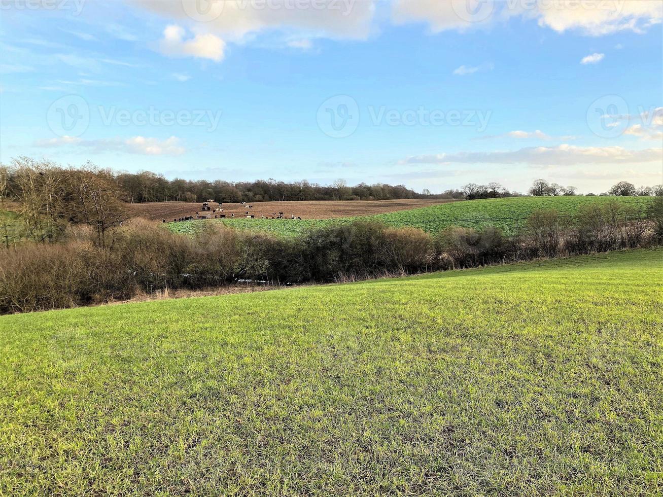A view of the Wales Countryside at Hanmer photo