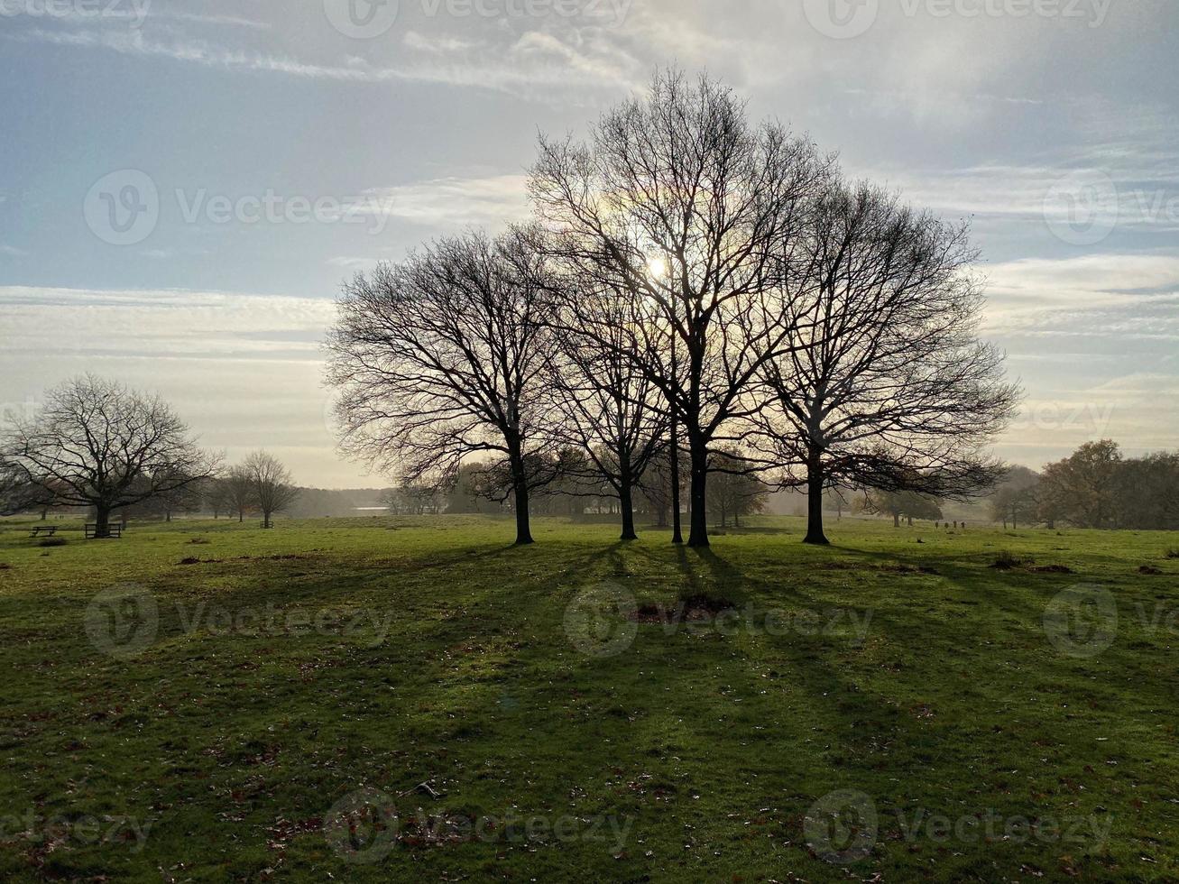 A view of the Cheshire Countryside near Knutsford photo