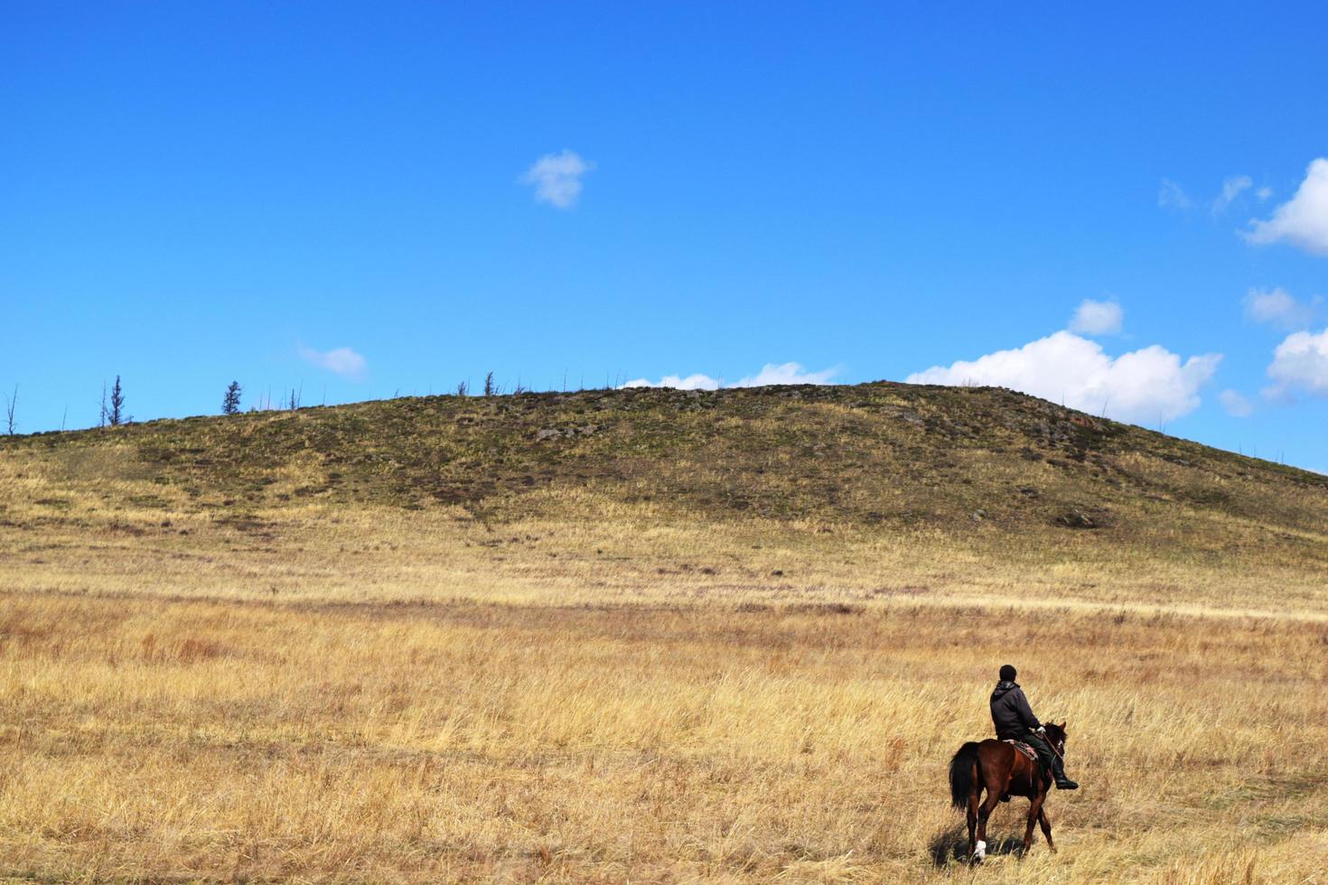 a rider rides a horse through a hilly valley photo
