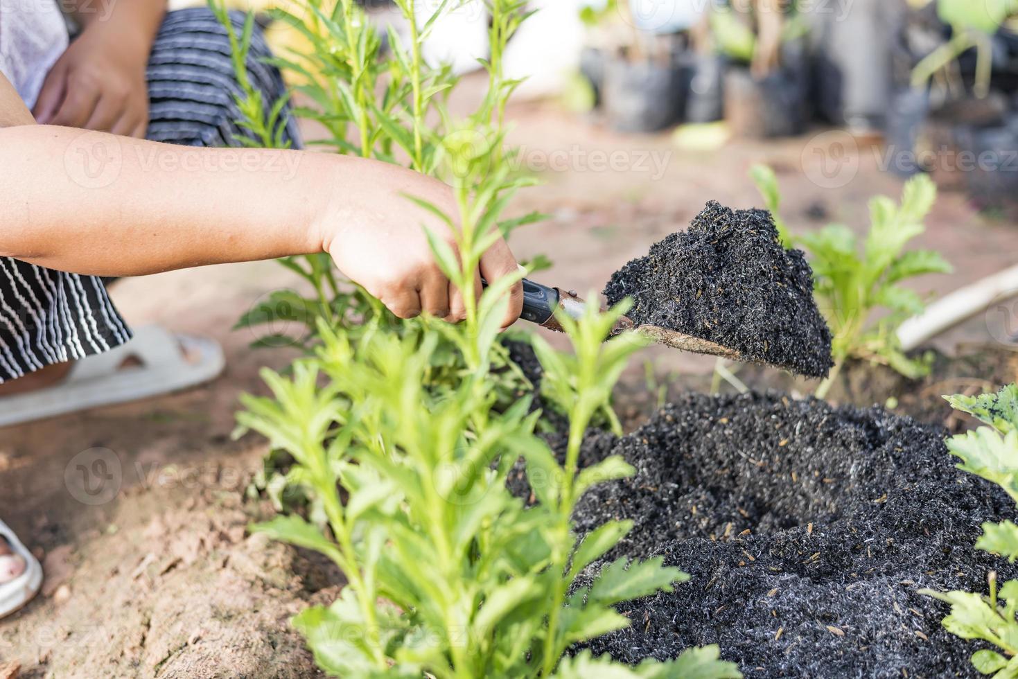 conceptos de cultivo, jardinería, agricultura y personas - personas con palas cavando lechos de jardín o granjas. foto