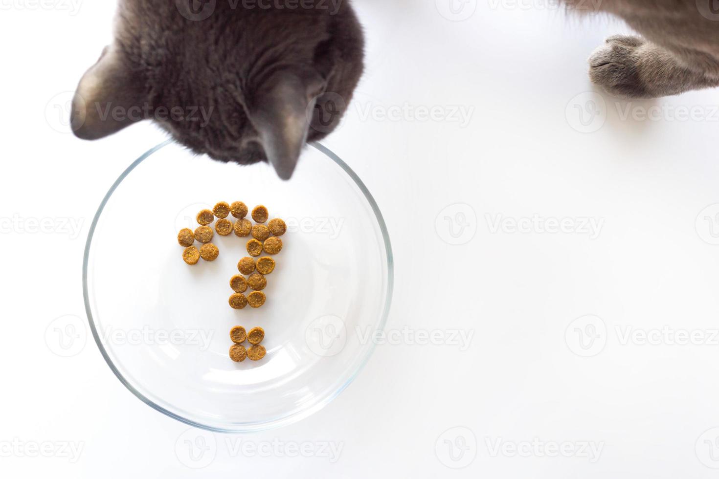 Cat wants to eat and looks in an empty bowl with a question. Question mark made of dry cat food in bowl on white background. Concept of choosing a dry food for pet photo