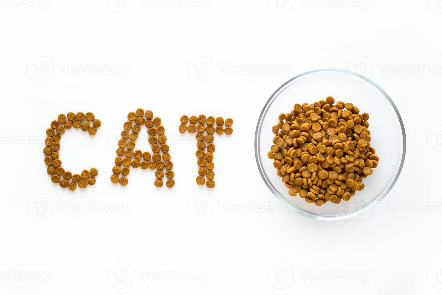 Word CAT sign made of dry food with full bowl. Pet care and veterinary concept with letters on white background photo