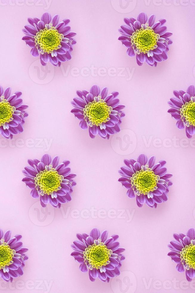 Lilac flower pattern on pink pastel background. Minimalistic floral background in flat lay style, top view. Valentine Day, Mothers day, birthday, spring concept photo