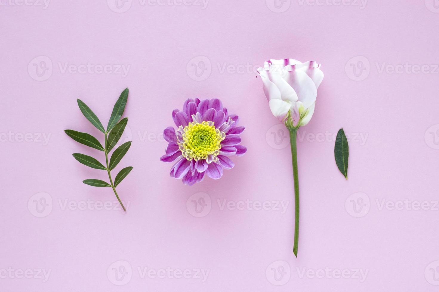 Pink-white flowers and leaves on pink pastel background. Valentine Day, Mothers day, birthday, spring concept. Minimalistic floral background in flat lay style, top view photo