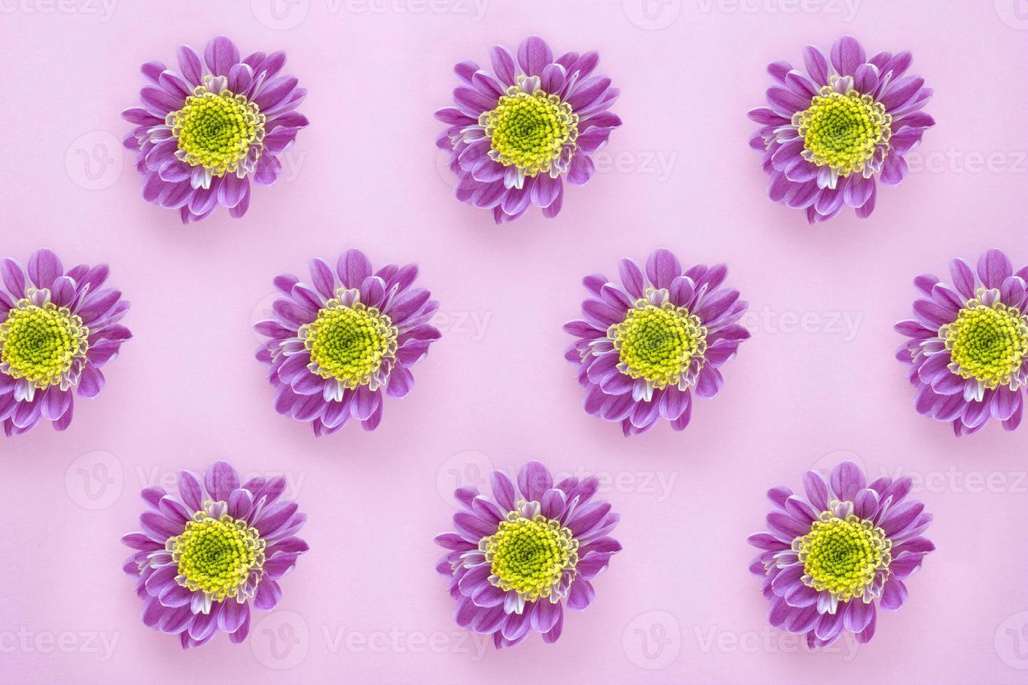 Lilac flower pattern on pink pastel background. Minimalistic floral background in flat lay style, top view. Valentine Day, Mothers day, birthday, spring concept photo